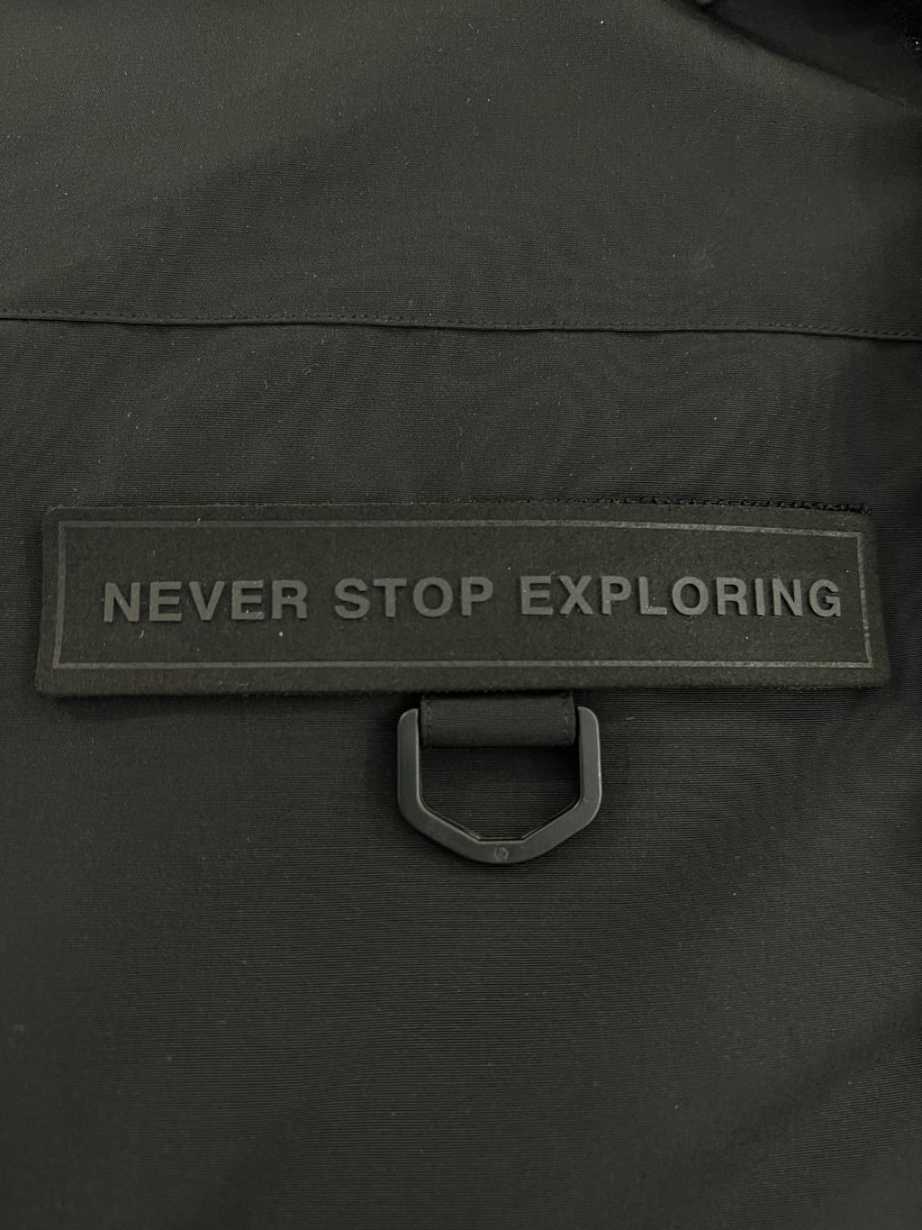 The North Face Down Jacket