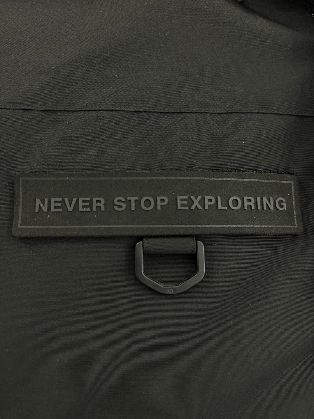 The North Face Down Jacket