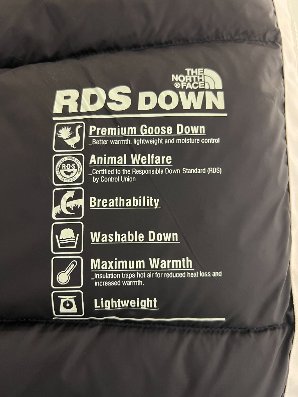 The North Face Down Jacket