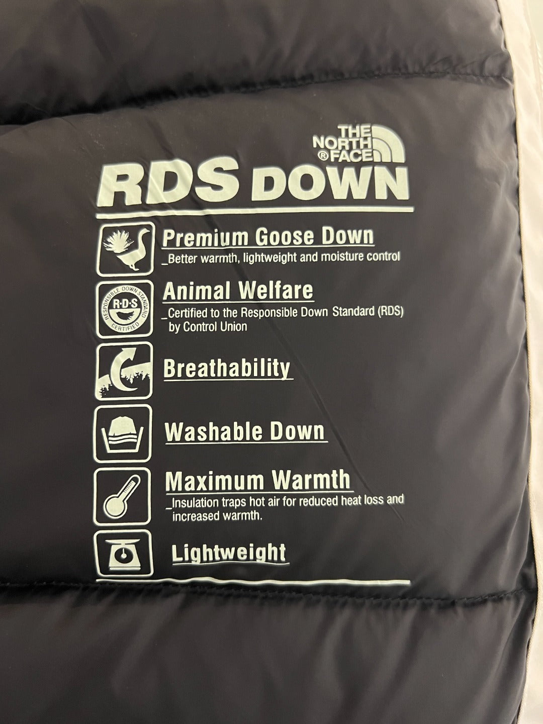 The North Face Down Jacket
