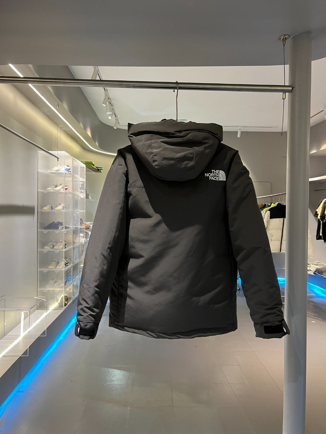 The North Face Down Jacket