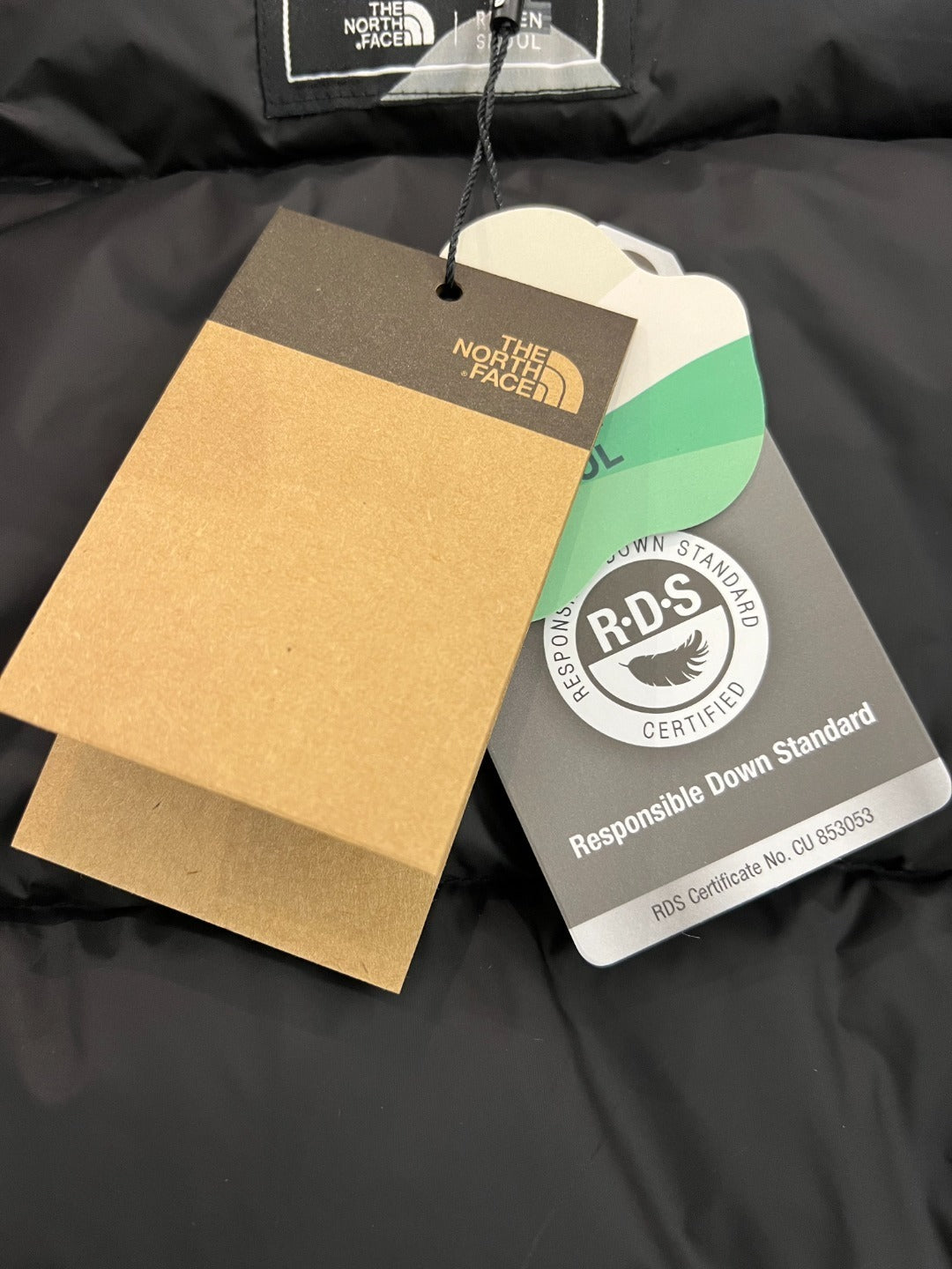 The North Face Down Jacket