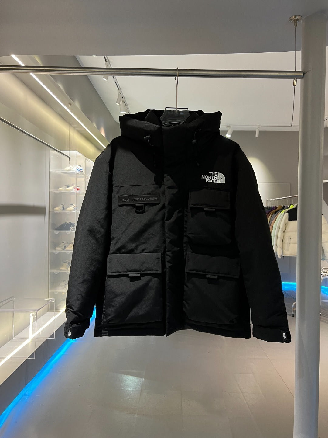 The North Face Down Jacket